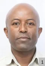 Alemu Tesfaye