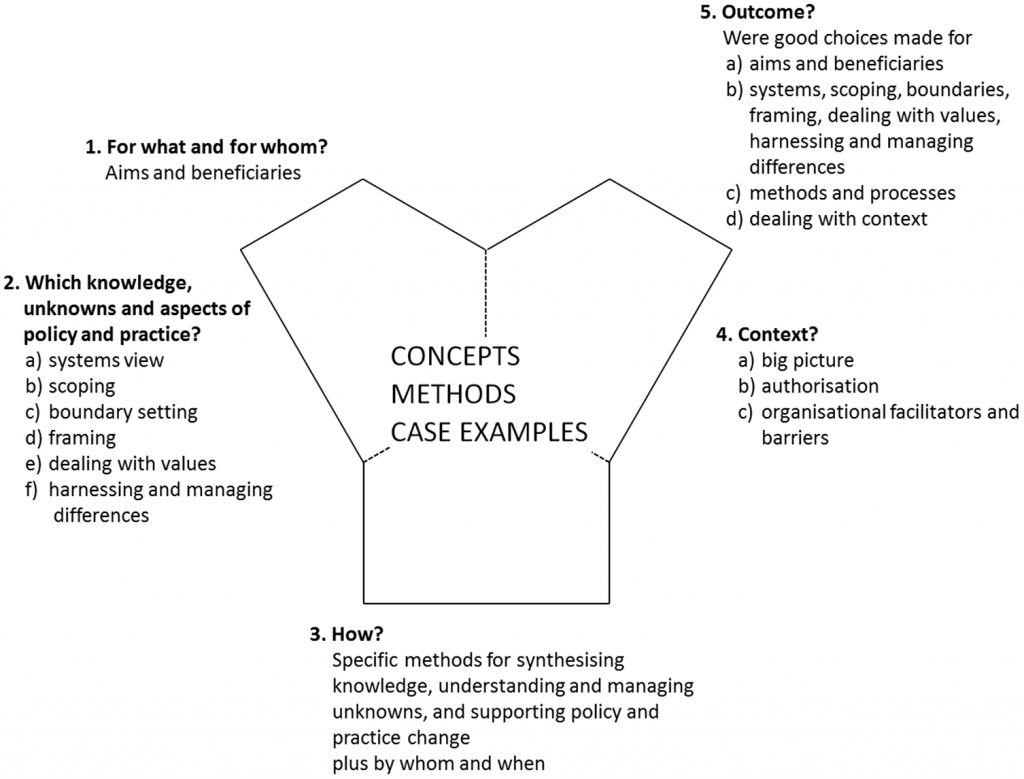 The three domains of Integration and Implementation Sciences (i2S)