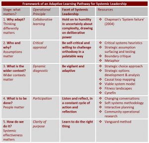 Framework of an Adaptive Learning Pathway for Systemic Leadership