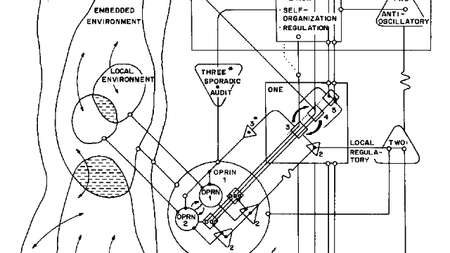 Viable System Model