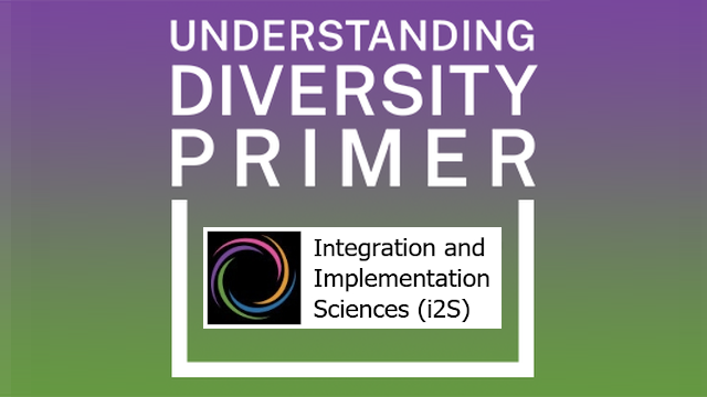 Understanding Diversity Primer – Integration and Implementation Insights